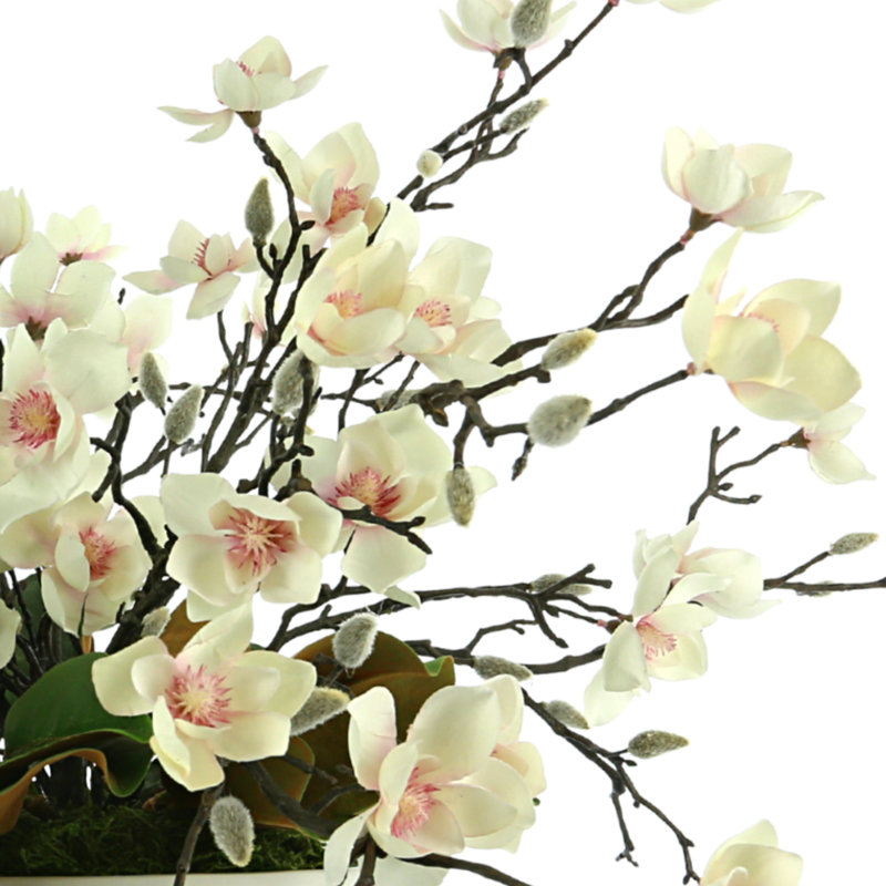 Butterfly Magnolia Floral Arrangement in Vase