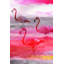 Parvez Taj - Wrapped Canvas Print-16671364