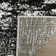 Gicu Abstract Silver/Multi Area Rug