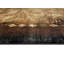 Tapis Calica-1082114531