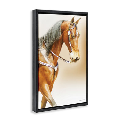 Cadre flottant brun avec majestueux chevaux, design par Kari Brooks