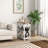 Andreias End Table with Storage