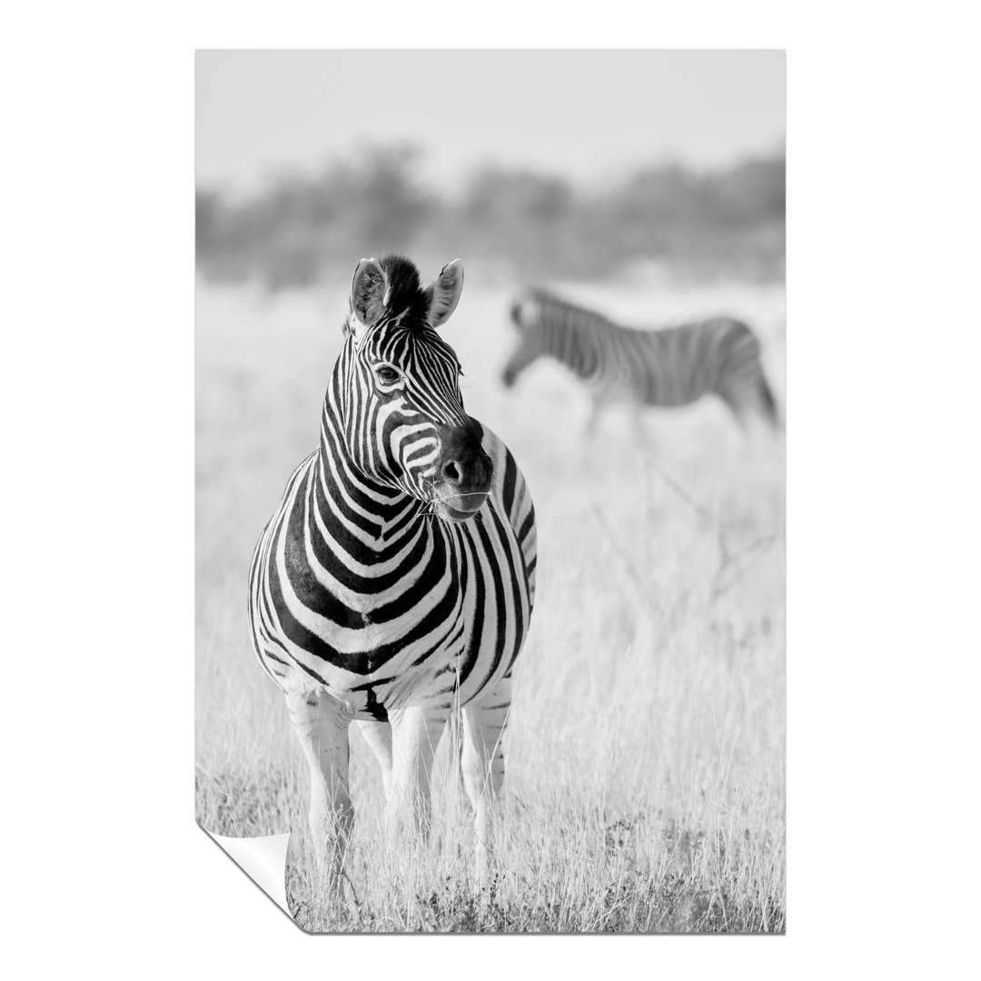Panther Print Fine Art Prints Black & White Zebra In Wildlife Artistic Unframed Poster, Pictures For Home Walls, Bedroom, Living Room & Bathroom Decor