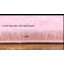 Tapis uni rose moelleux pour salon chambre à coucher chambre d'enfant chambre d'enfant-1201214834