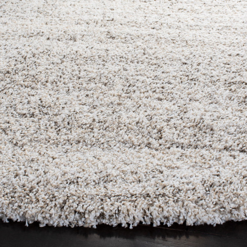 Audriaunna Shag Performance Rug, Round 4'
