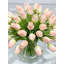 Très grand arrangement tulipe rose pêche 60
