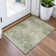 Machine Washable Indoor/Outdoor Xhevrie Sage Rug