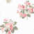 White/Pink selected