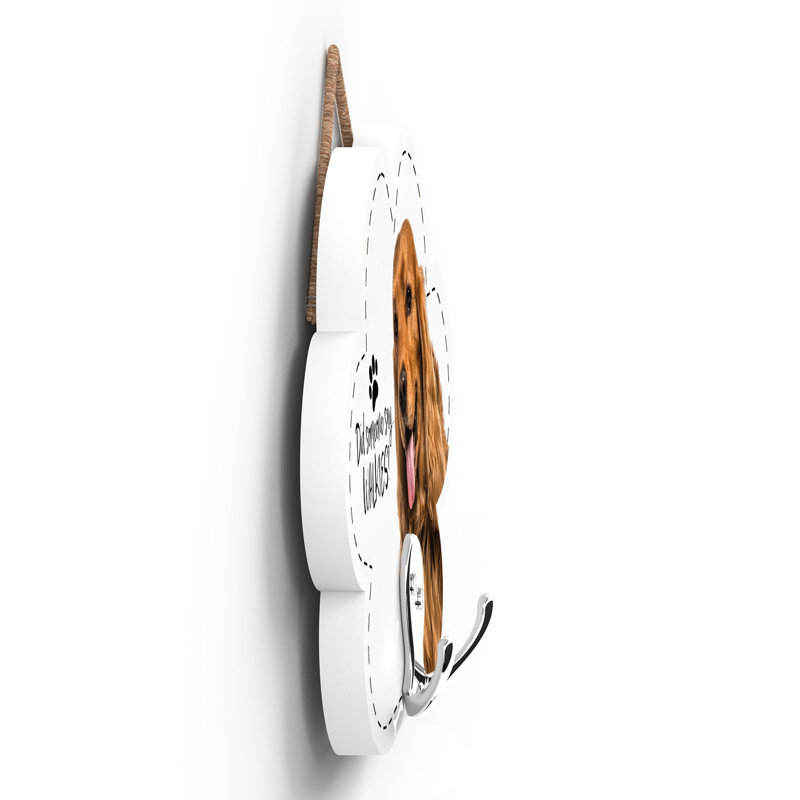 Hinshaw Wall Wall Hook