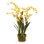 Conservatory Dancing Orchid Drop in Plant
