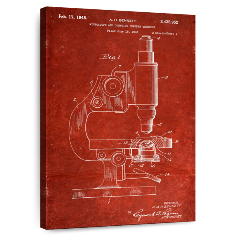 Microscope and Counting Chamber Kynaat, 30" H x 20" W