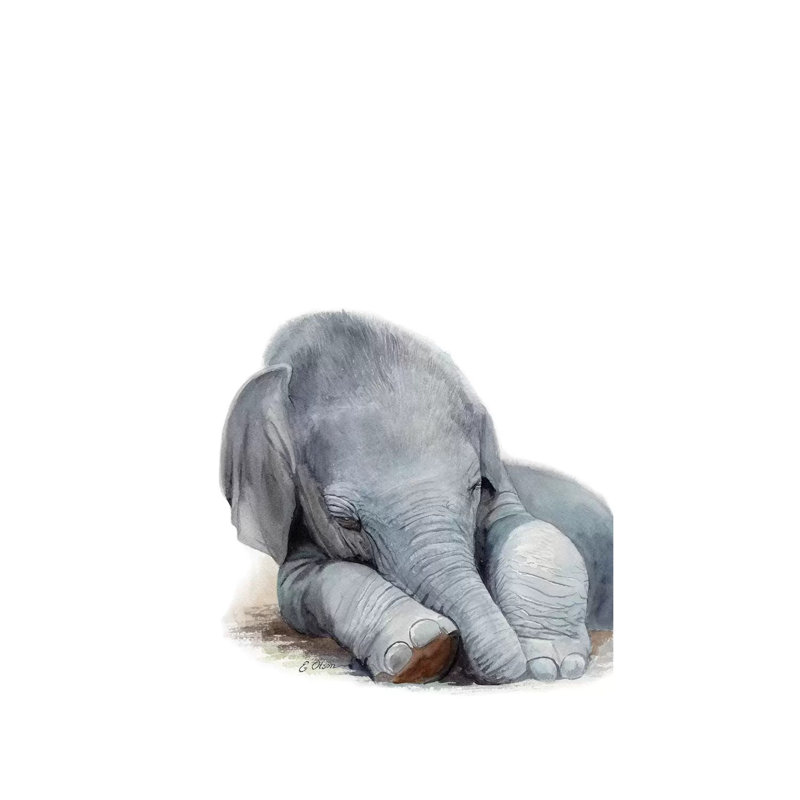 Sleeping Baby Elephant by Watercolor Luv - Wrapped Canvas Painting, 66.04 cm H x 45.72 cm W