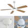 Lieschen 52'' Ceiling Fan with LED Lights