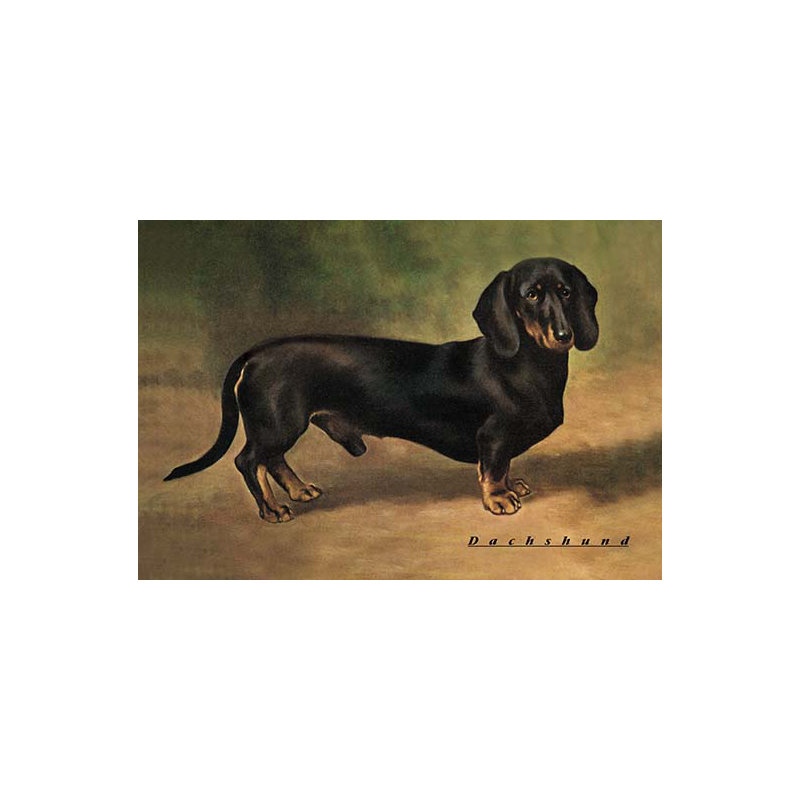 « teckel earl satin », impression