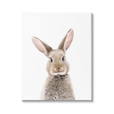 «Rabbit Face», art mural sur toile par Sissi et Seb