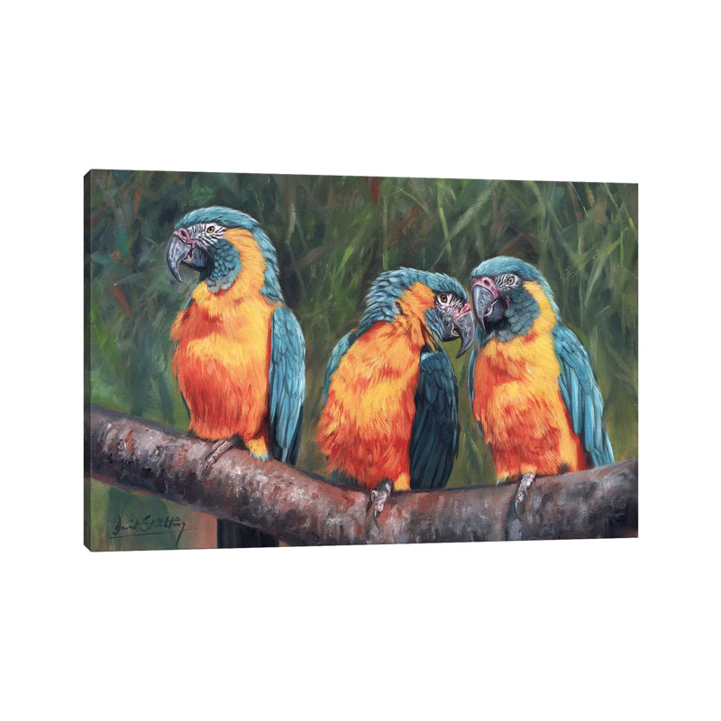 Macaws 1 Piece Wrapped Canvas Painting, 101.6 cm H x 66.04 cm W x 1.91 cm D