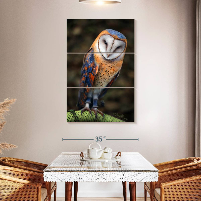 Brampt Heart-Shaped Face Barn Owl, 50" H x 32" W