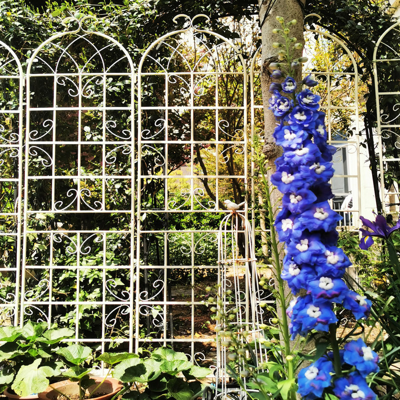 Treillis de jardin en métal 86,7 po x 19,7 po sur 2, rouille, pour plantes grimpantes: rose, raisin, pois, facile à installer, jasmin,