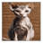 Washable Minskin Cats Area Rug-1536720908