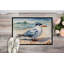 Paillasson Tern-1932467379