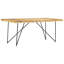Ancheta Mango Rectangular Wood Top Dining Table-1576631948