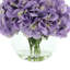 Hortensia-1409524517-1409524516