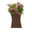 Bassin pour oiseaux-905154282