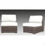 Rattan Wicker Fully Assembled 2 - Person Seating Group With Cushions