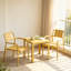 Ensemble de mobilier de patio 3 pièces, comprenant 2 fauteuils en plastique PP et une table basse d'appoint. Supporte jusqu'à 136 kg pour les fauteuils et 82 kg pour la table. Résistant aux rayons UV et aux intempéries. Ensemble bistro d'extérieur. Chaises livrées montées, table facile à installer. Couleur jaune. Parfait pour un balcon, un jardin ou une piscine.