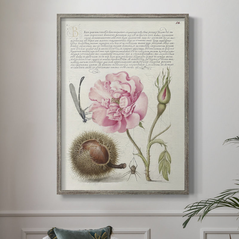 Reproduction encadrée de Hoefnagel «Tropical Specples II» - bois massif, H 11 po x l 9 po