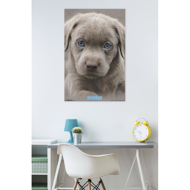 Chiot-impression sur papier blue eyes