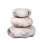 Petrified Wood Organic Sculpture-436953486