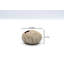 Webbe Jar 1-808904363-808904358