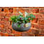 Rish Metal Hanging Planter