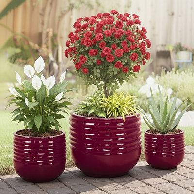 Ensemble de 3 pots à fleurs d'intérieur / extérieur en céramique avec trou de drainage