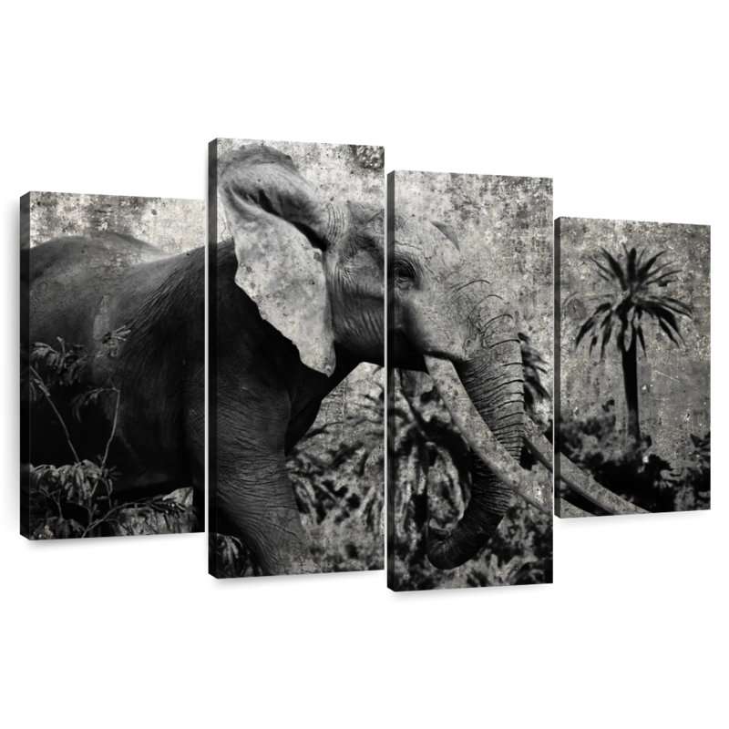 Éléphant safari Brampt Prime