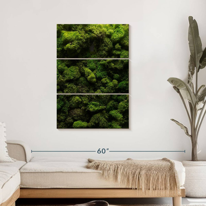 " Thick Moss " 3 - Pieces, 28" H x 45" W x 1.25" D