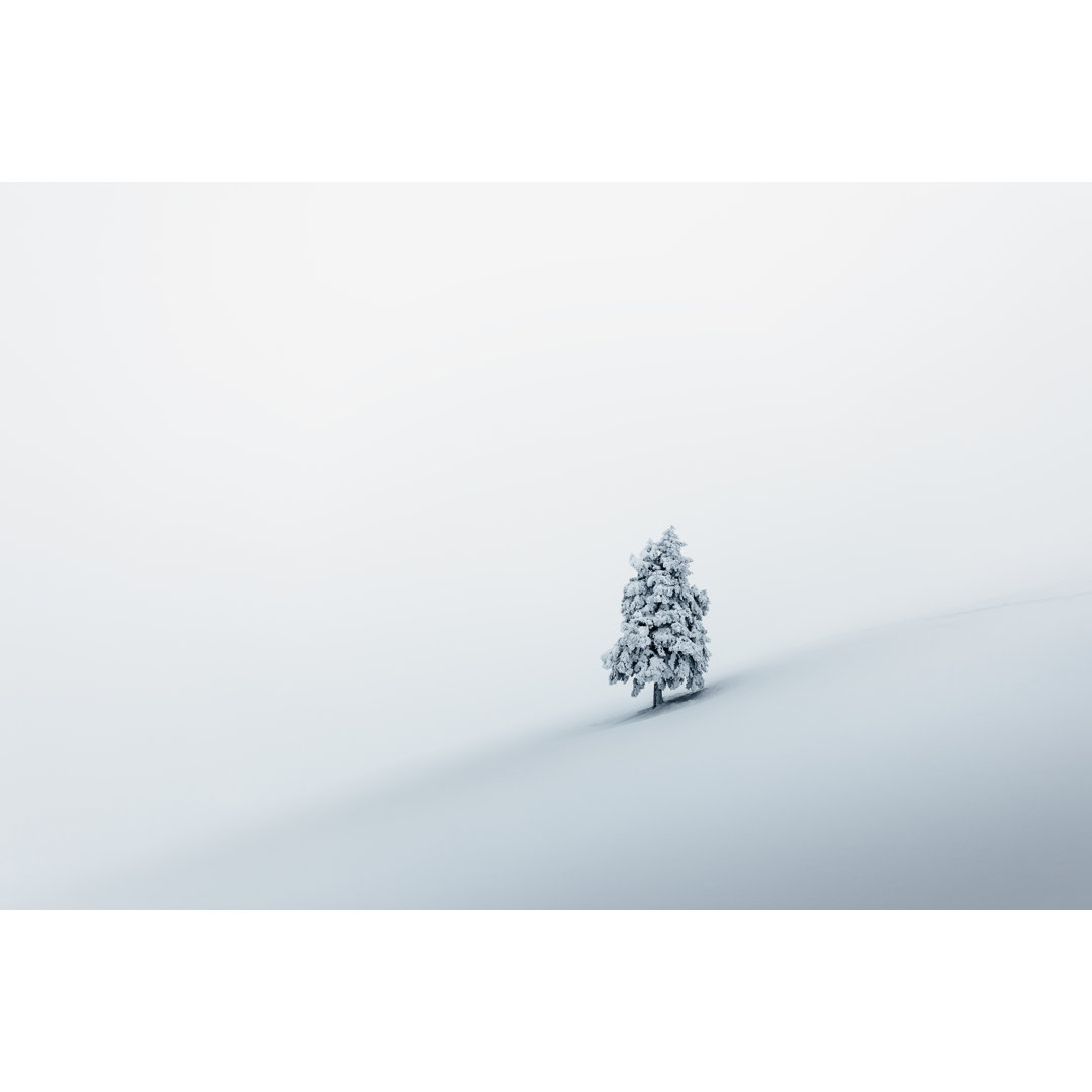 Einsamer Baum im Schnee