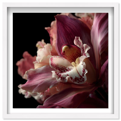 Velvet Labellum Print by Oliver Gal