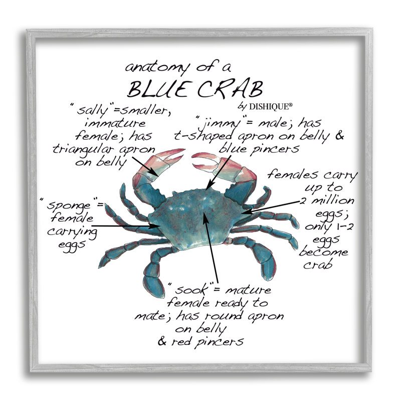Crab Anatomy Facts, H 12 po x l 12 po x P 1,5 po, Estampe numérique Farmhouse
