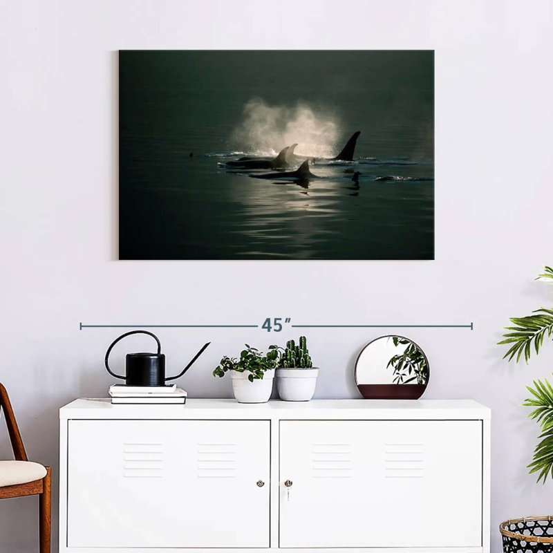 Brampt Orca Whale Pod, 24" H x 36" W