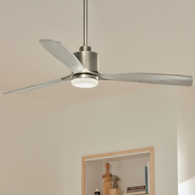 Ridley 60'' Ceiling Fan with LED Lights