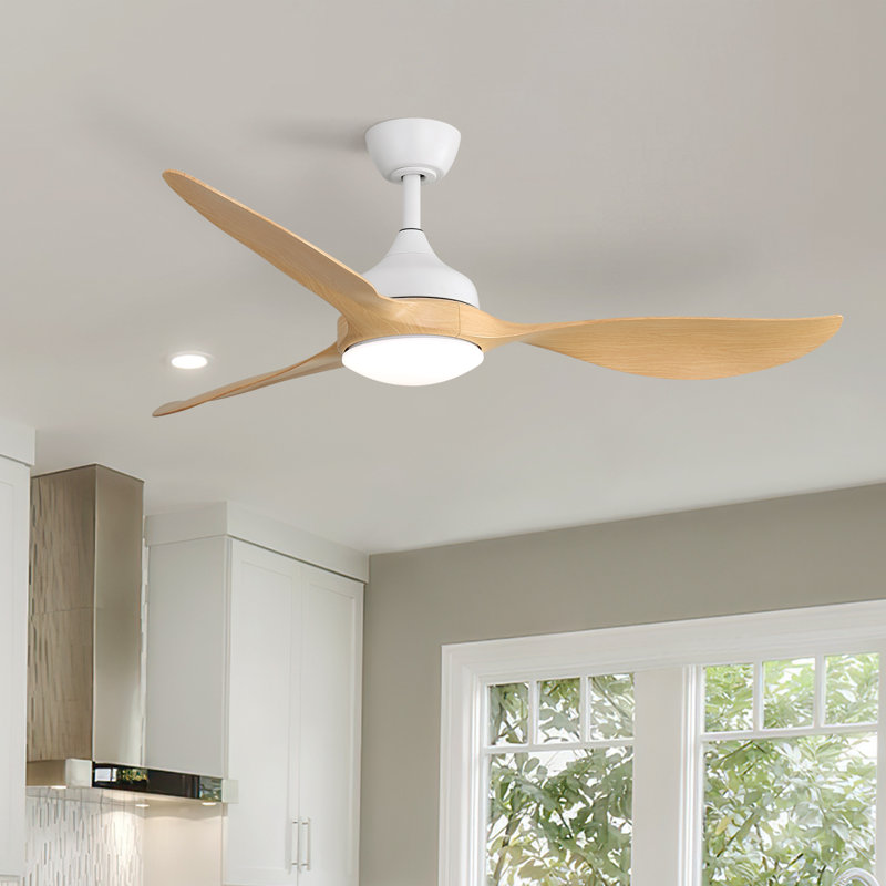 Ventilateur de plafond à DEL moderne 56 pouces à 3 pales avec télécommande