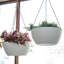 Paquet de 13 pots à fleurs de 13 pouces pour plantes d'intérieur et d'extérieur, pots de panier en plastique pour plantes d'intérieur, blanc