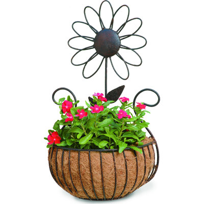 Maciel Metal Wall Planter