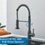 Belfry Kitchen Bublava Kitchen Faucet with Side Spray