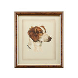 Danchin Brittany Spaniel Print