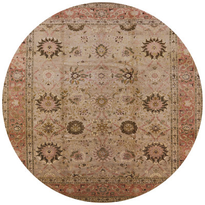 Osterville Oriental Indoor Rug