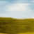 Plexi