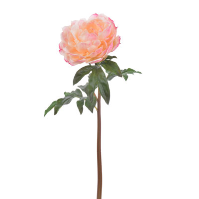 OPEN PEONY STEM
